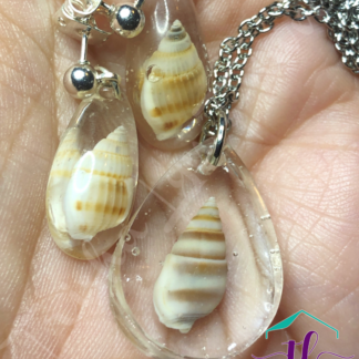 Resin Sea Shell French Hook Earrings & Necklace